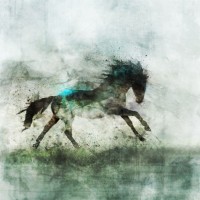 Ken Roko - Lone Star