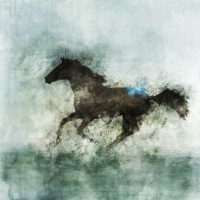 Ken Roko - Lone Star II