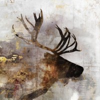Ken Roko - Golden Reindeer