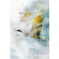 Ken Roko - Crane Flight I