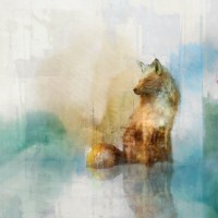 Ken Roko - Fox on Teal I 