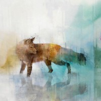 Ken Roko - Fox on Teal II