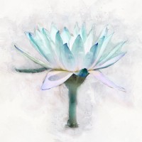 Leda Robertson - Radiance Reflected