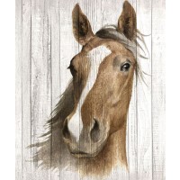 Maya May - Chestnut Mare I