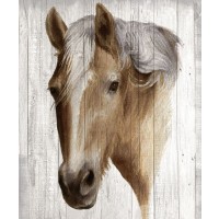Maya May - Chestnut Mare II