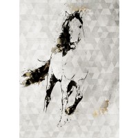Irena Orlov - Wild Running Horse