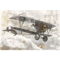 Roozbeh - Airplane I 