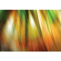 PI Studio - Tie Dye II