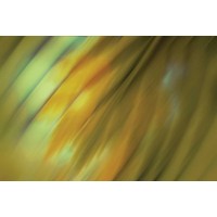 PI Studio - Tie Dye III
