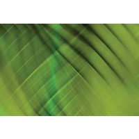 PI Studio - Tie Dye IV