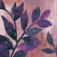 PI Studio - Viola I