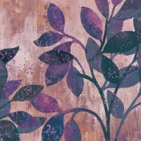 PI Studio - Viola II