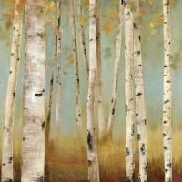 Allison Pearce - Eco I