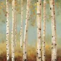 Allison Pearce - Eco II