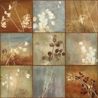 Allison Pearce - Audace I