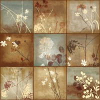 Allison Pearce - Audace II