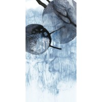 PI Studio - Dripping Circles II