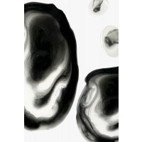 PI Studio - Neutral Blobs II