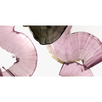PI Studio  - Silk Streams I