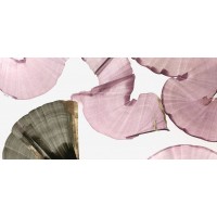 PI Studio  - Silk Streams II