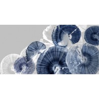 PI Studio - Indigo Orbit