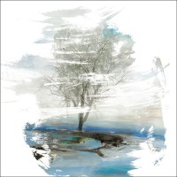 PI Studio - Moonlight Kingdom