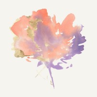 PI Studio - Silent Flower