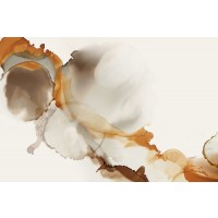 PI Studio - Undefined 