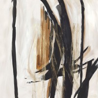 PI Studio - Black and Brown Expression