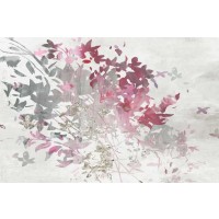 Allison Pearce - Hydrangea II