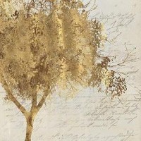PI Galerie - Treescape