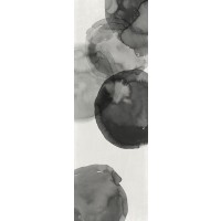 Tom Reeves - Transparent Ink II 