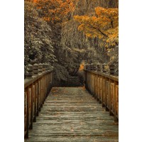 Don Schwartz - Across the Bridge
