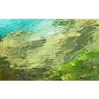 Steven Crainford - Fontaine Abstract III