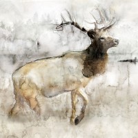 Stellar Design Studio - Mountain Elk I