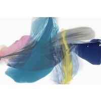 Vicki McFarland - Colour Wonderful 