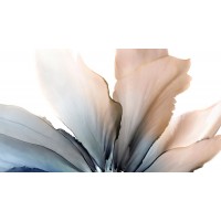 Wendy Kroker - Delicate in Blue 