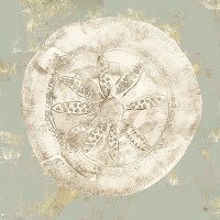Aimee Wilson - Cone Shells I