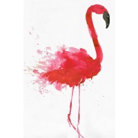 Aimee Wilson - Flamingo Portrait II