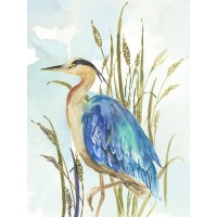 Aimee Wilson - Little Blue Heron