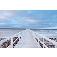 Oleksinski - The Bridge