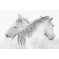 1x - Stas - Horses