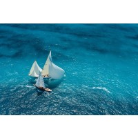 1x - Pelissier - Croisement Bleu