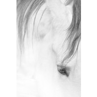 1x - Younesi-Lock of Hair
