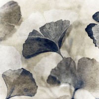 YK Studios - Blooming II