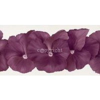 Yvonne Poelstra-Holzhaus - Violet Flower III 
