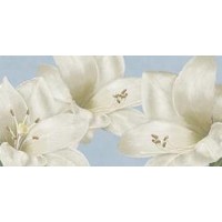White Amarylis-LindaWood  