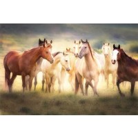 Wendy Caro - Dance Class  
