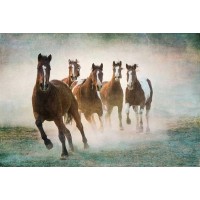 Wendy Caro - Blaze Of Glory  