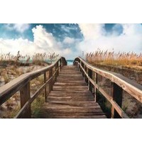 Michael Cahill - Path To Paradise